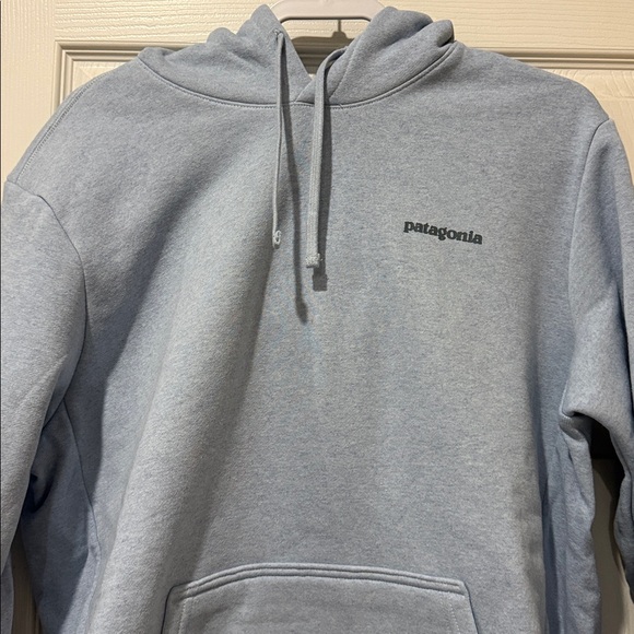 Patagonia Women’s XL, Men's L Light Blue Hoodie - Picture 2 of 16